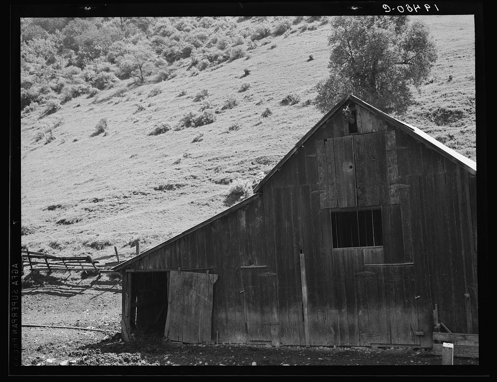 Barn in a valley back of Mission San Jose. Santa Clara County, California. Sourced from the Library of Congress.