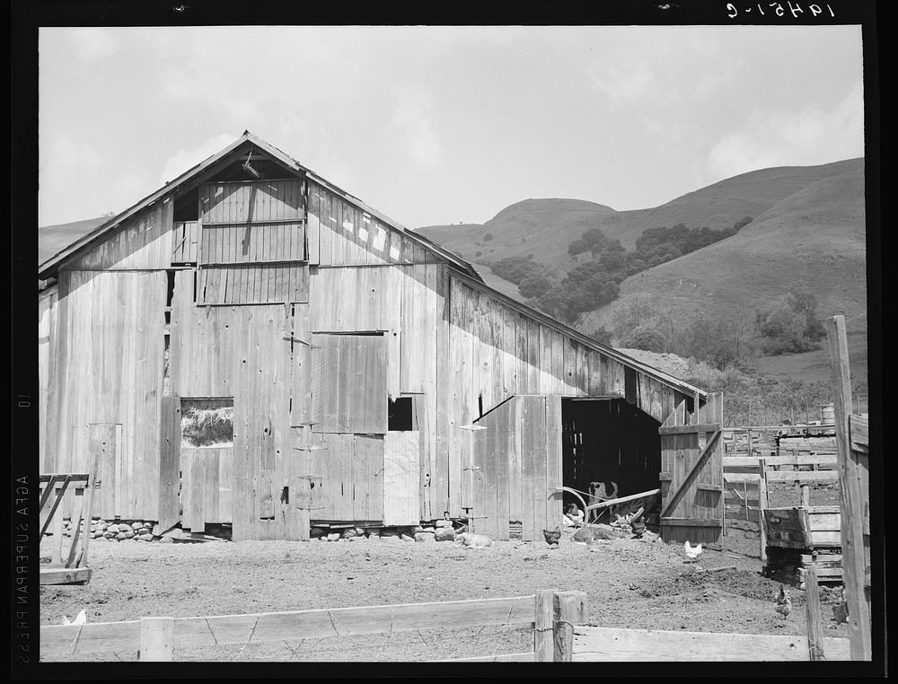 Farmyard of small Italian farmer. Santa Clara County, California. Sourced from the Library of Congress.