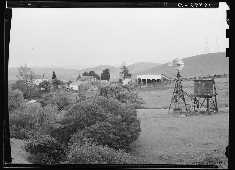 Small farm in the coast range foothills. Alameda County, California. Sourced from the Library of Congress.