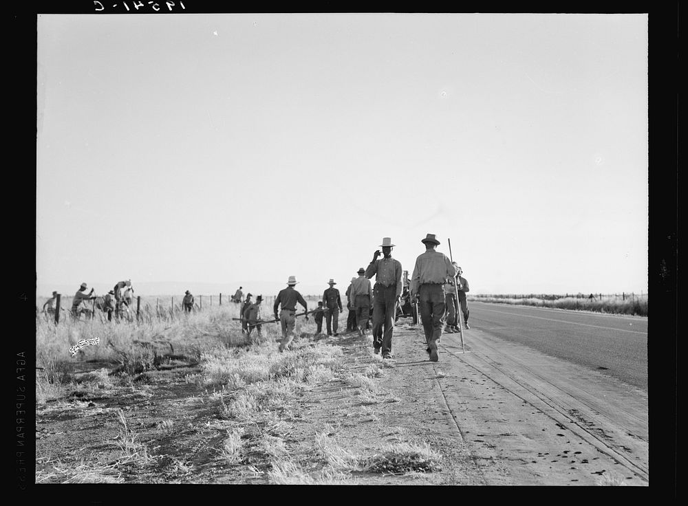 [Untitled photo, possibly related to: Near Los Banos, California. Migratory agricultural workers. Cotton hoers. Leave the…