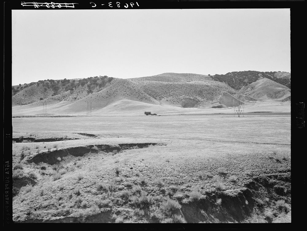 Between Tulare and Fresno, California. Sourced from the Library of Congress.