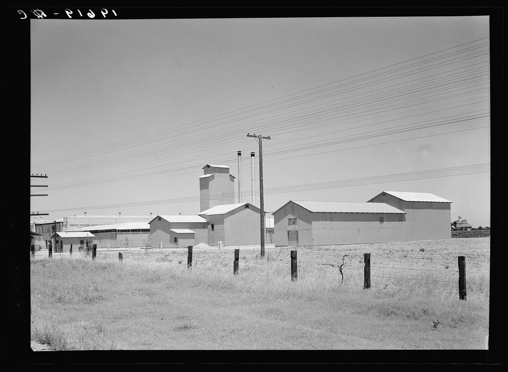 [Untitled photo, possibly related to: Between Tulare and Fresno, California on US 99. Winery belonging to Muscat Cooperative…