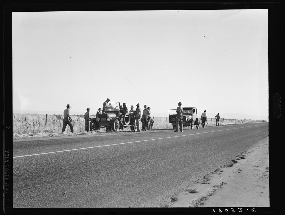 [Untitled photo, possibly related to: Near Los Banos, California. Migratory agricultural workers. Cotton hoers leave the…