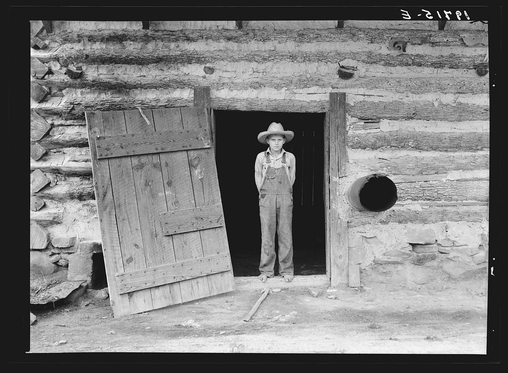 North Carolina farm boy in doorway of tobacco barn. Person County, North Carolina. Sourced from the Library of Congress.