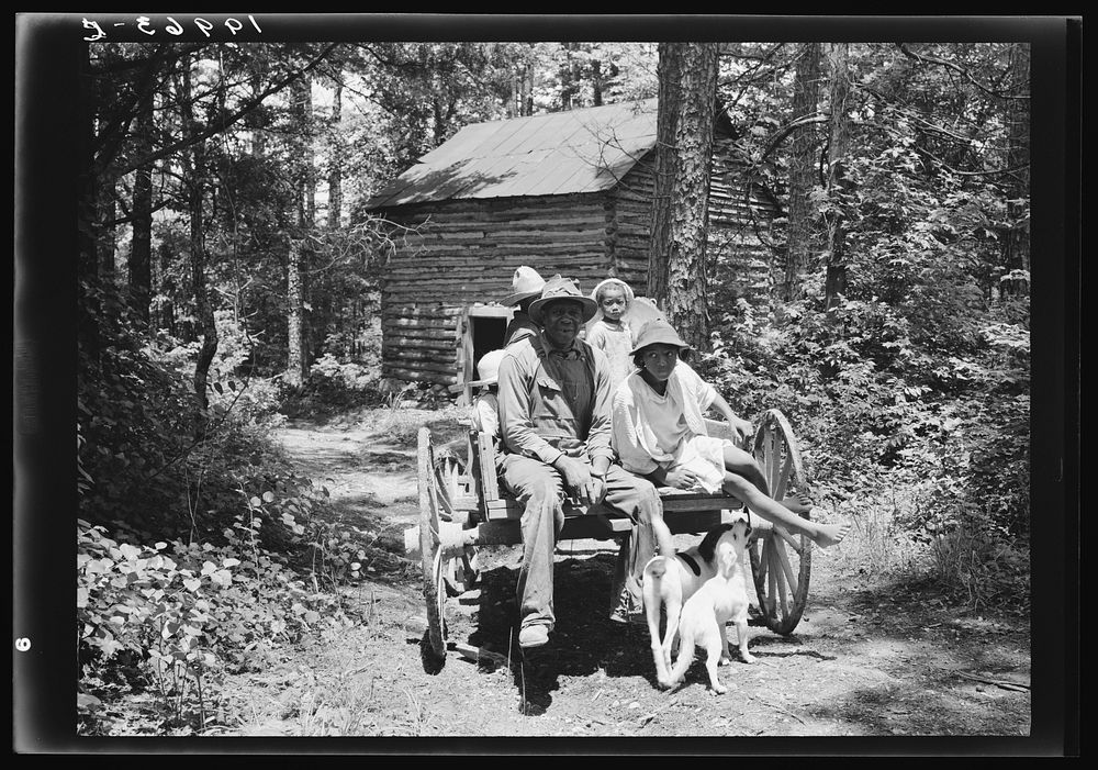 [Untitled photo, possibly related to: Colored sharecropper and his children about to leave home through the pine woods after…