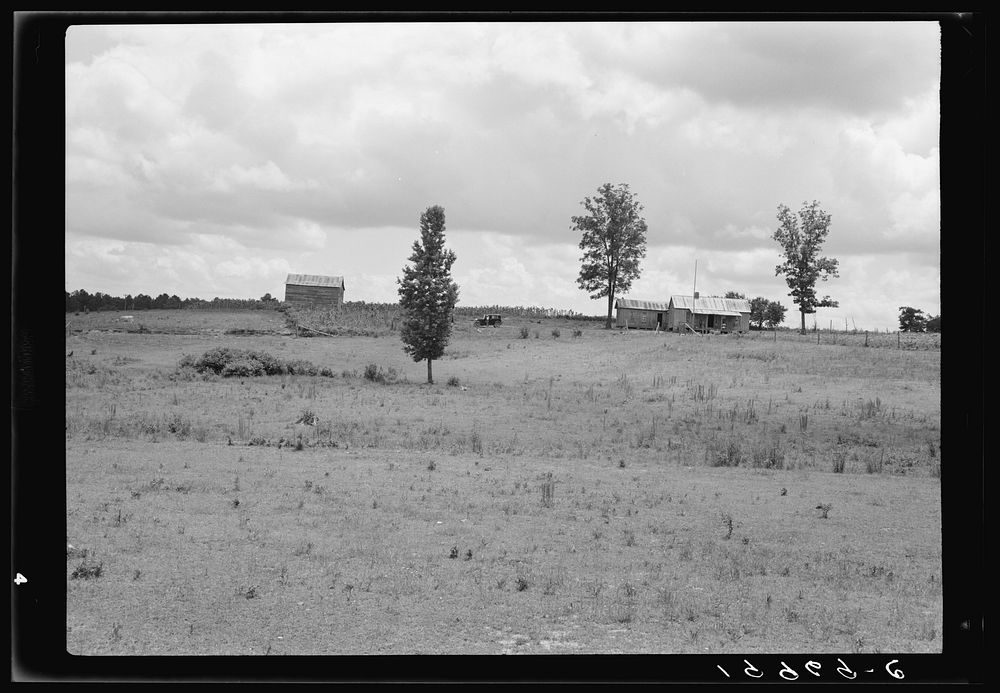 Farmhouse and landscape of  tenant family as seen from the road. Near Pittsboro, North Carolina. Sourced from the Library of…