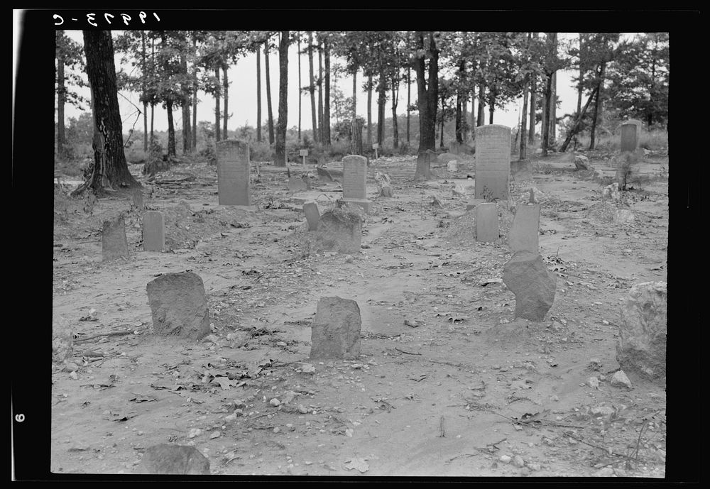 A red clay  cemetery. No attempts to lay out crops. The graves are in rows with narrow spaces between. This cemetery was a…