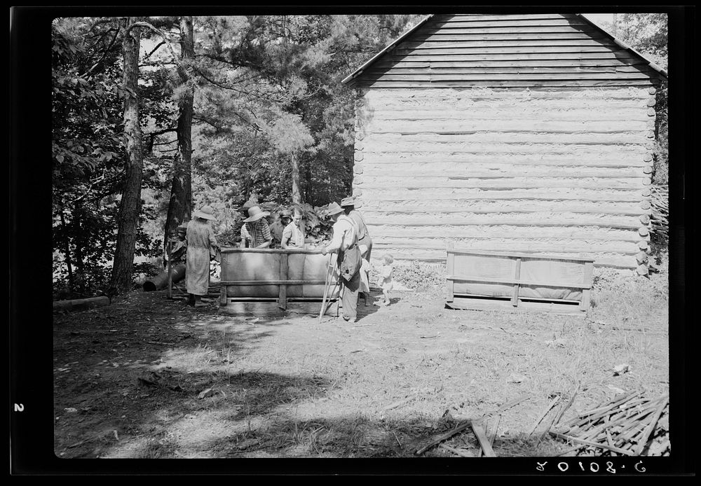 [Untitled photo, possibly related to: Families stringing tobacco brought in from the field by sled. Granville County, North…