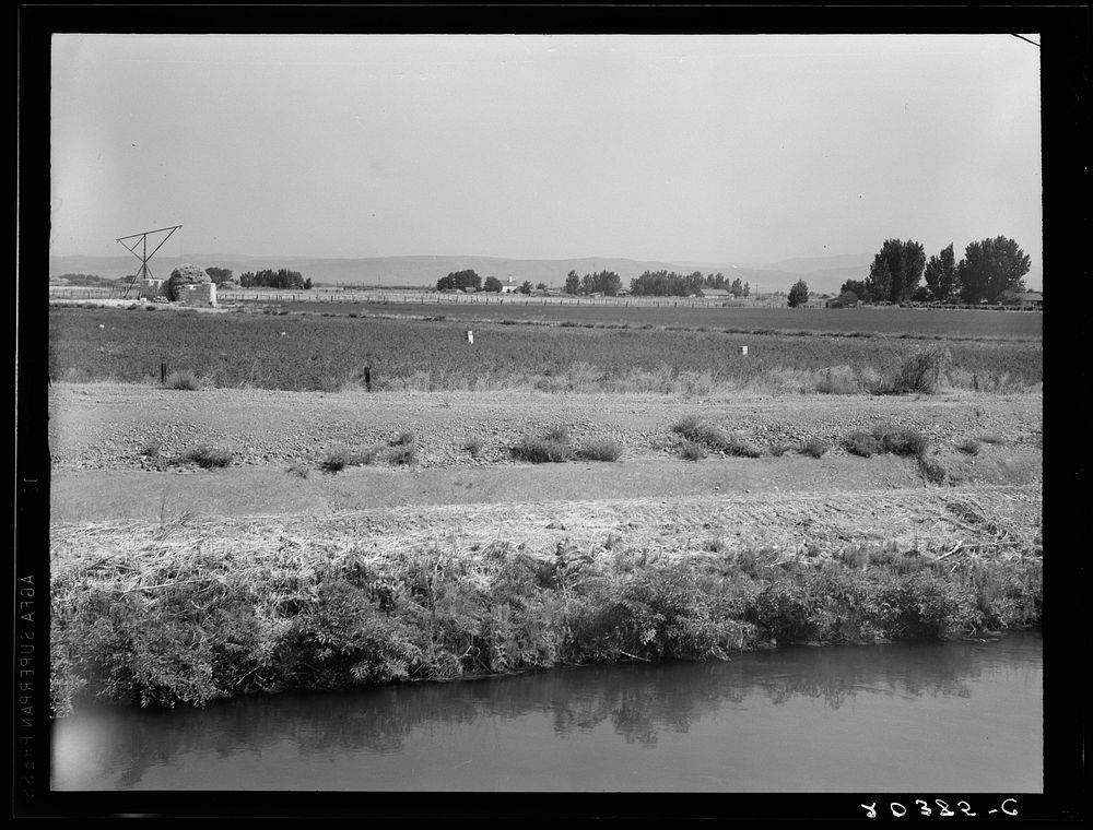 Washington, Yakima Valley, near Wapato. Name of Borrower, Edgar Hardt. On Tenant Purchase farm. Forty acres, price six…