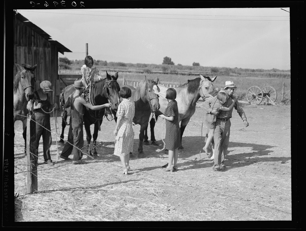 [Untitled photo, possibly related to: Chris Adolf, his team, and six of his children on their new farm. Washington, Yakima…
