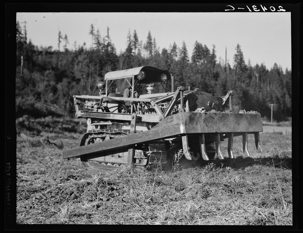 [Untitled photo, possibly related to: Western Washington, Lewis County. Bulldozer raises and pushes stump on cut-over farm].…