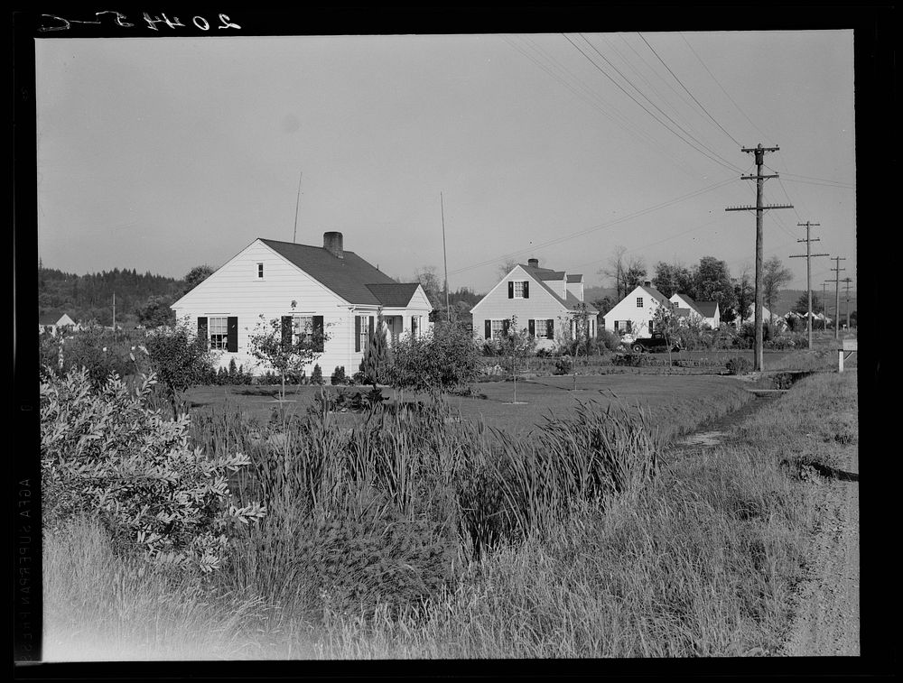 [Untitled photo, possibly related to: Washington, Cowlitz County, Longview. Down one street on Longview homestead project…