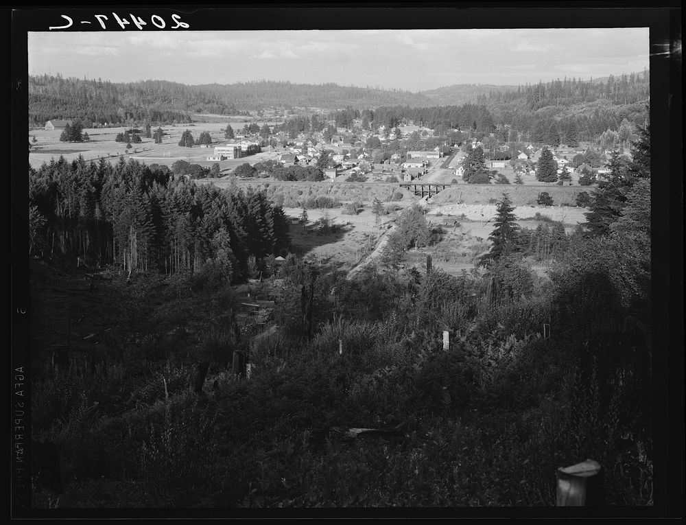 [Untitled photo, possibly related to: Western Washington, Thurston County, Tenino, Washington. Looking down on western…