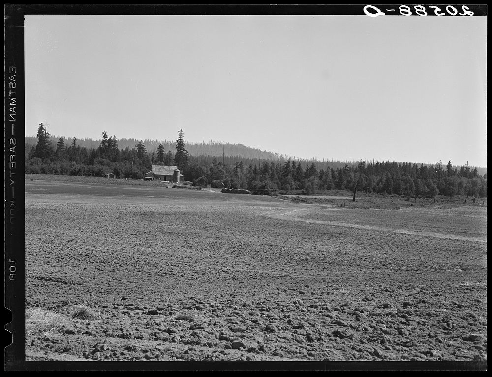 The Nieman farm showing cleared land on which the  is clearing more land. Western Washington, Lewis County, near Vader..…