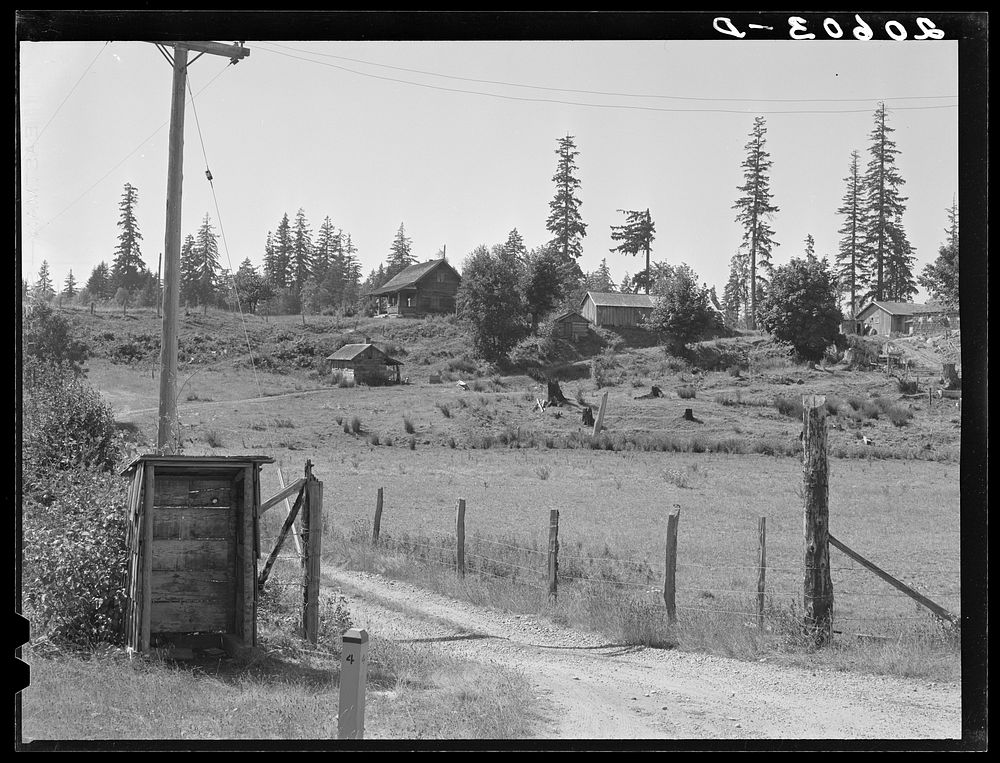 Western Washington stump farm. The shelter at lower left is provided to protect children from the weather as they wait for…