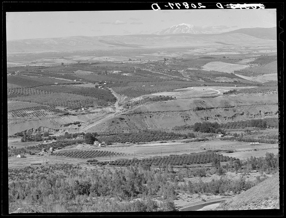 Looking down on part of the Valley, approximately six miles from Yakima. Washington, Yakima Valley. See general caption…