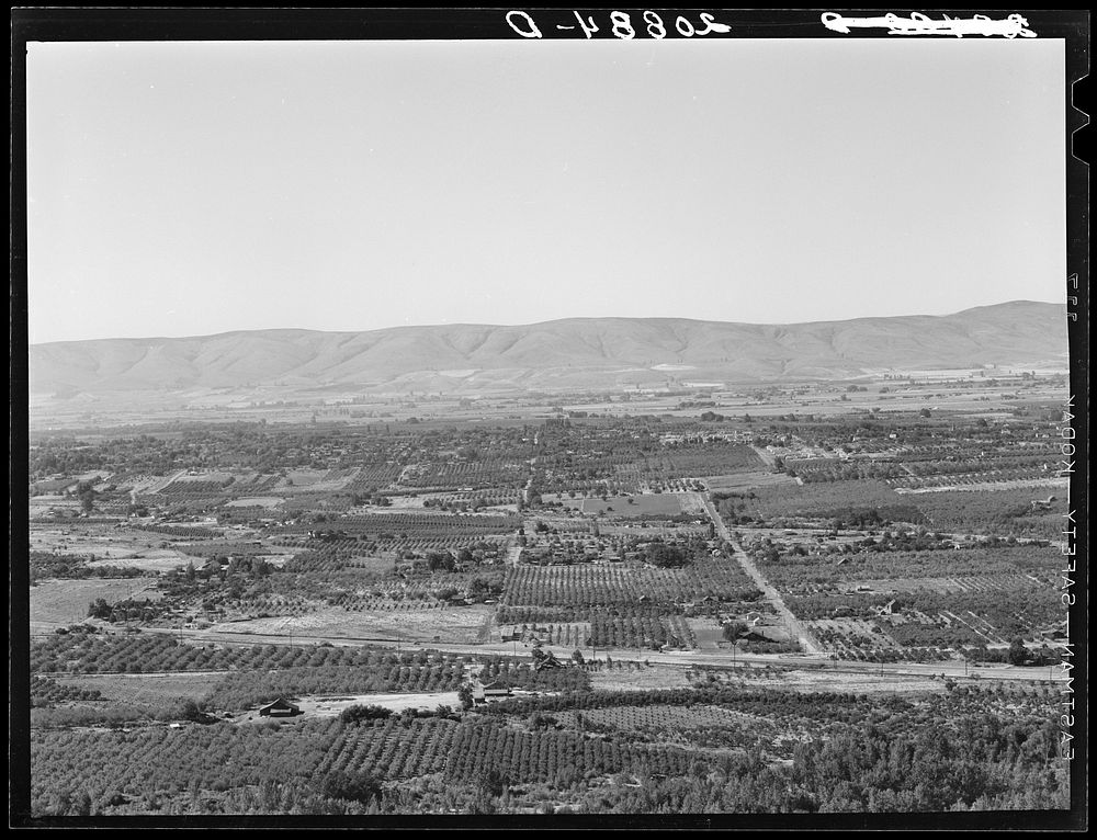 [Untitled photo, possibly related to: Looking down on part of the Valley, approximately six miles from Yakima. Washington…