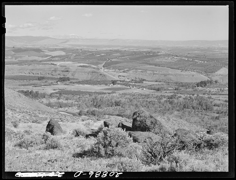 [Untitled photo, possibly related to: Looking down on part of the Valley, approximately six miles from Yakima. Washington…