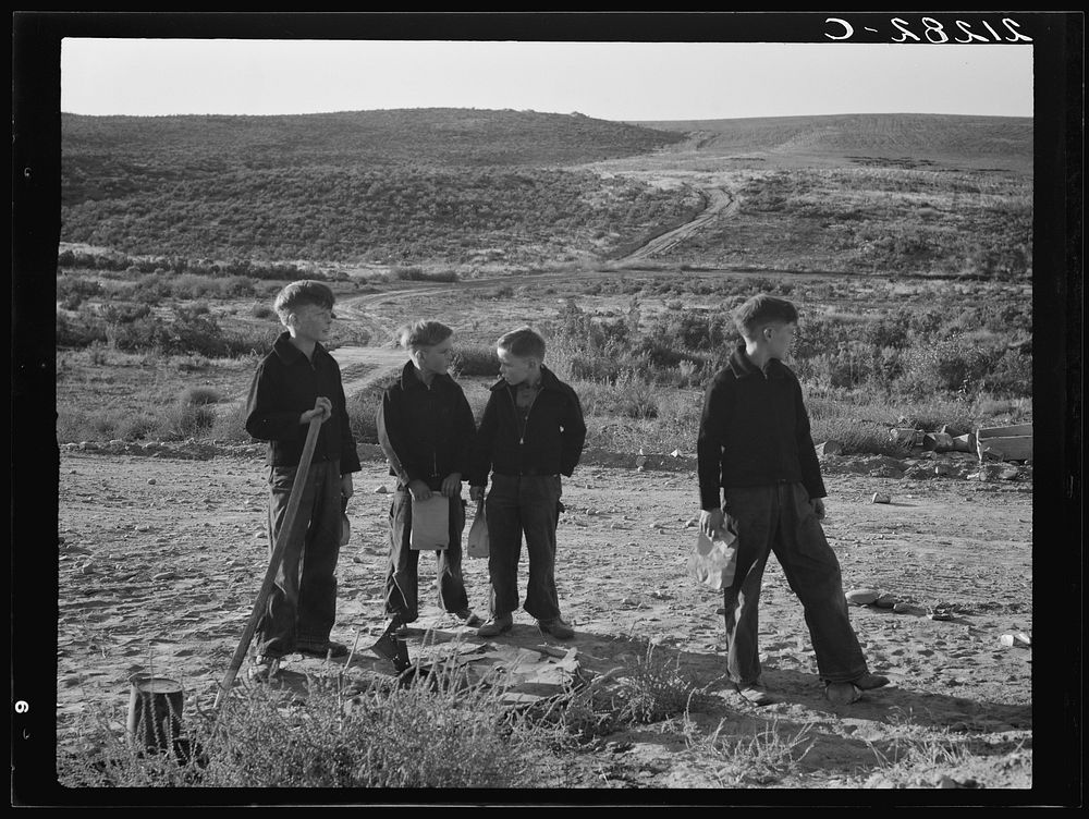 The Schroeder family on their new eighty-acre farm. Dead Ox Flat, Malheur County, Oregon. General caption number 67-111.…