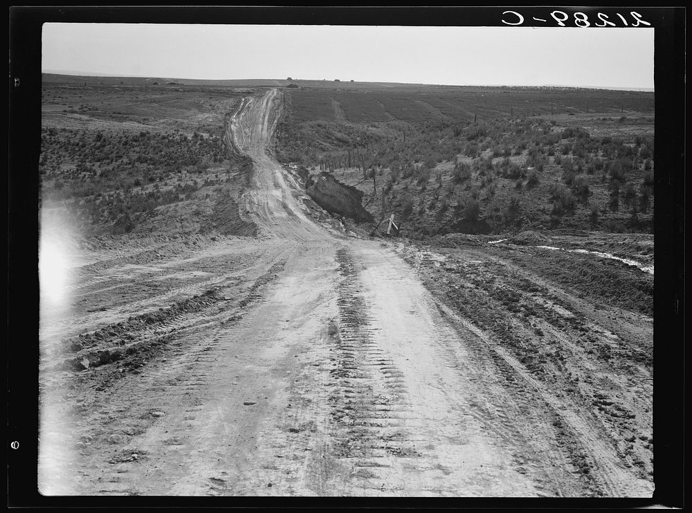 [Untitled photo, possibly related to: Landscape on top of bench, showing new lands, and farms beyond. Road was built by the…