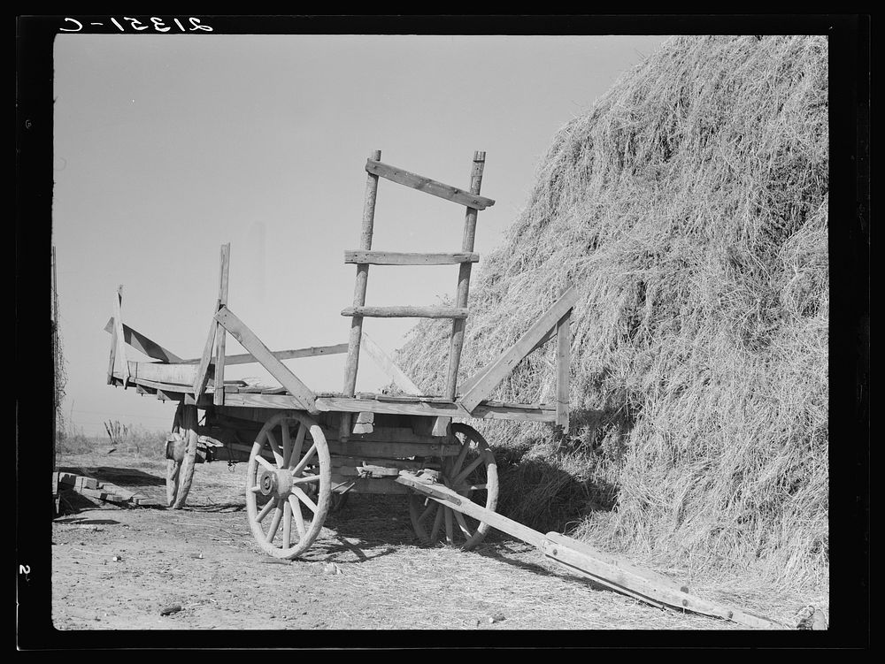 Hayrick and stack of FSA (Farm Security Administration) borrower. Nyssa Heights, Malheur County, Oregon. Sourced from the…