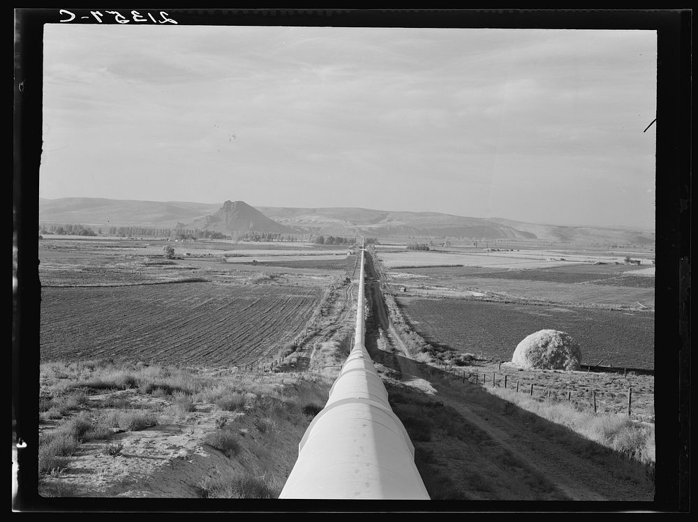 [Untitled photo, possibly related to: Siphon--the world's longest--which carries water five miles to Dead Ox Flat. It is…