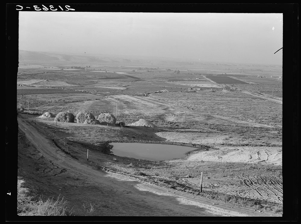 [Untitled photo, possibly related to: Looking across the Malheur Valley from Lincoln Bench. Malheur County, Oregon]. Sourced…