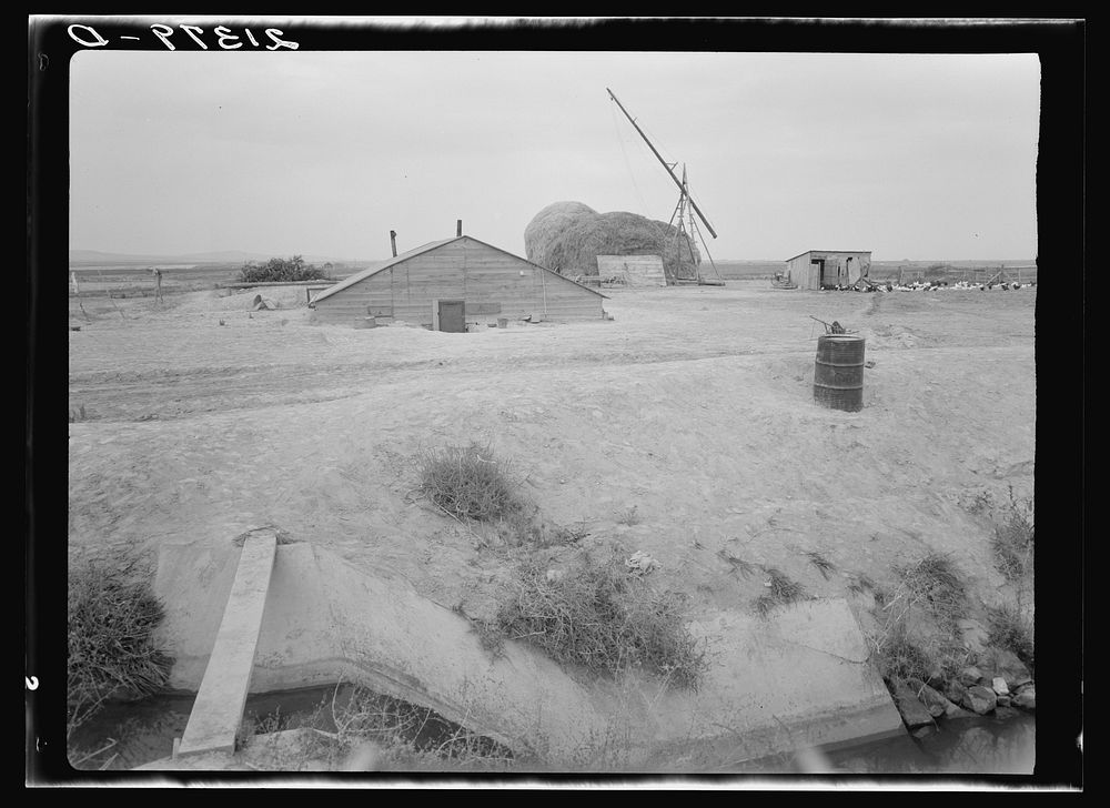 [Untitled photo, possibly related to: Home of Free family who had lived in Beaver County, Oklahoma, for thirty years. Dead…