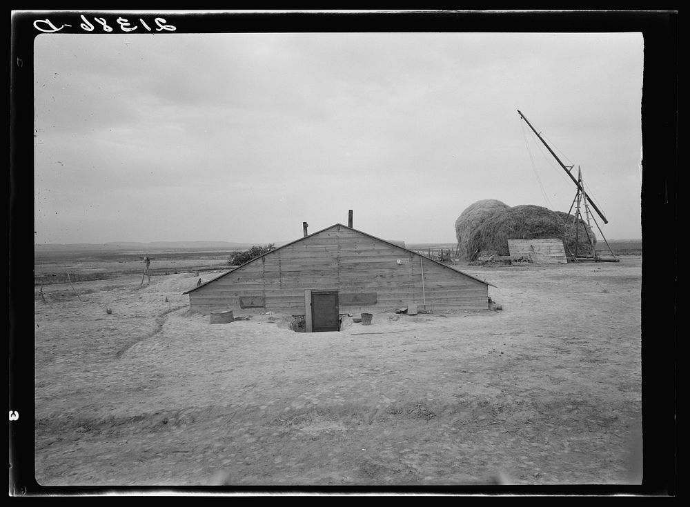 Home of Free family who had lived in Beaver County, Oklahoma, for thirty years. Dead Ox Flat, Malheur County, Oregon.…