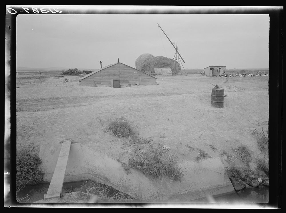 Home of family from Oklahoma now living at Dead Ox Flat, Malheur County, Oregon. Note irrigation ditch. They haul their…