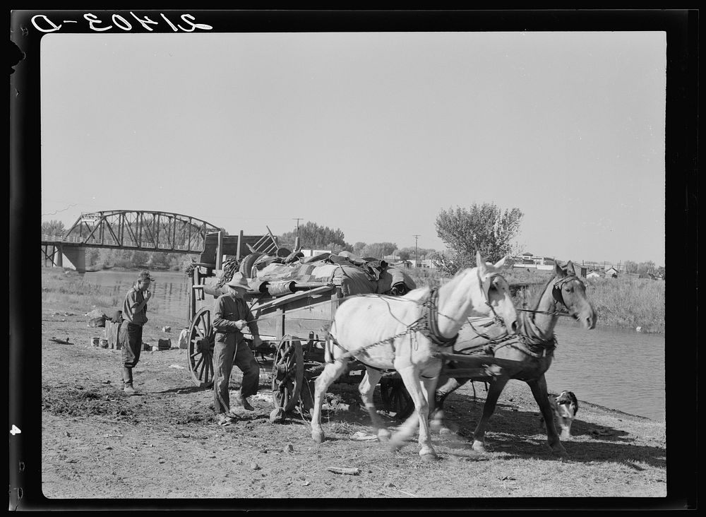 [Untitled photo, possibly related to: Migrant family cleaning up. Near Vale, Malheur County, Oregon]. Sourced from the…