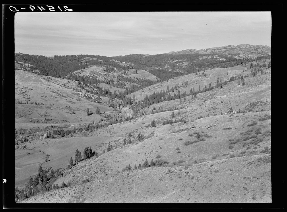 Upper end of Squaw Creek Valley near the mill, showing part of the timber resources. Ola self-help sawmill co-op. Gem…