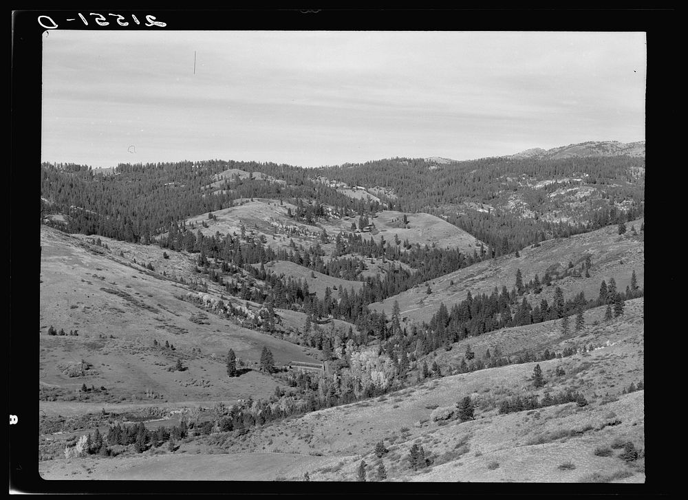 [Untitled photo, possibly related to: Upper end of Squaw Creek Valley near the mill, showing part of the timber resources.…