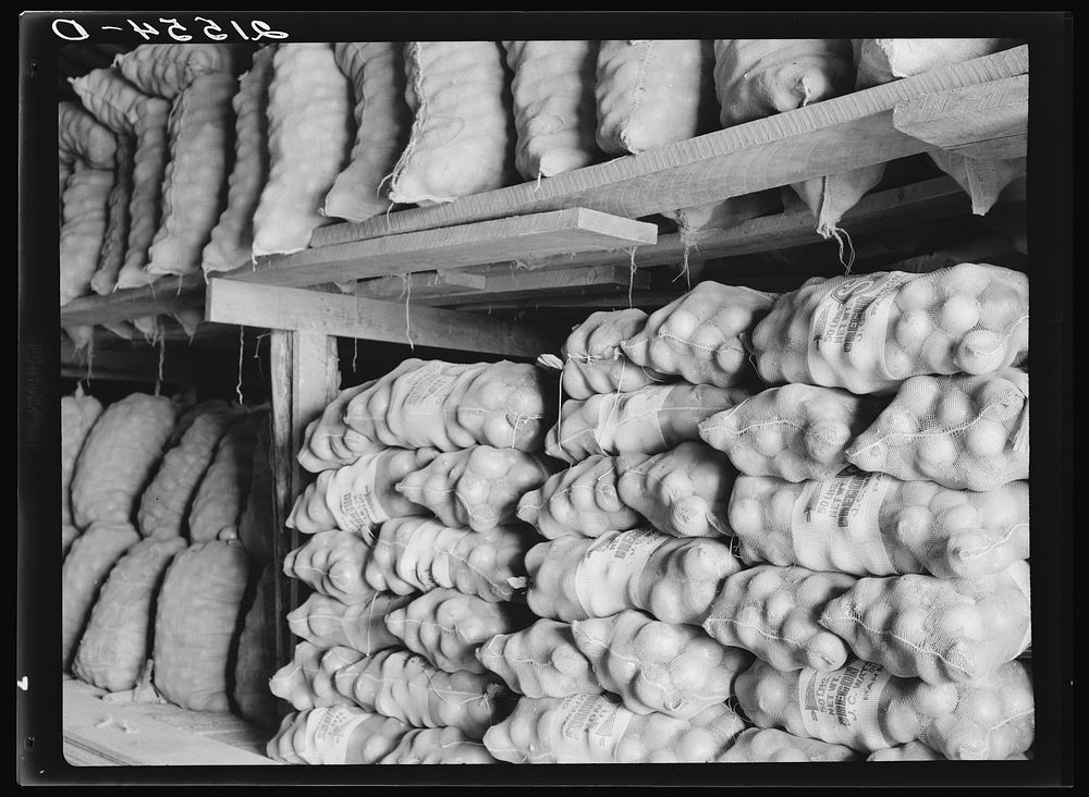 Fifty-pound bags of onions in storage shed, ready for market. Malheur County, Oregon. Sourced from the Library of Congress.