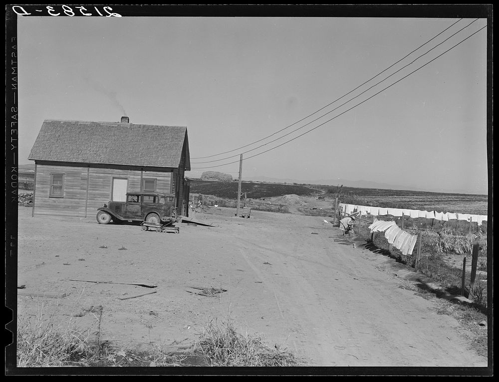 The Schroeder family's new house. Cleared and irrigated fields of their land beyond. Dead Ox Flat, Malheur County, Oregon.…