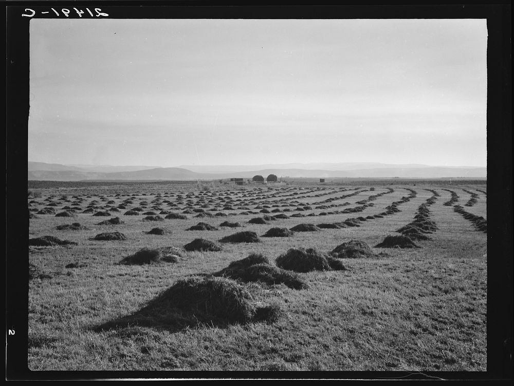 [Untitled photo, possibly related to: View of Sunset Valley, showing hay and clover, pasture land, corn land, grain land.…