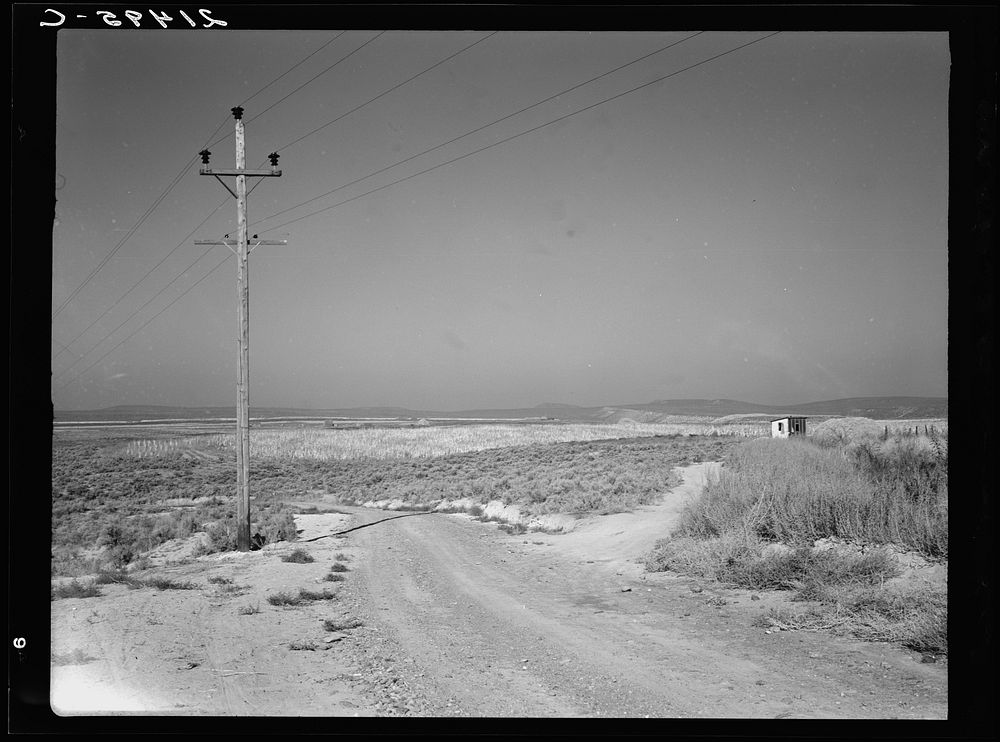 On bench land of the Owyhee project. Sage brush, irrigated fields, homestead. Nyssa Heights, Malheur County, Oregon. Sourced…