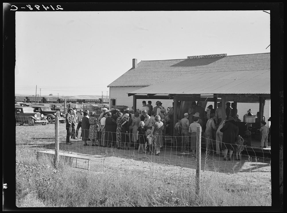 Farmers come to town on Saturday afternoon for auction sale held on back street in Nyssa, Oregon. Sourced from the Library…