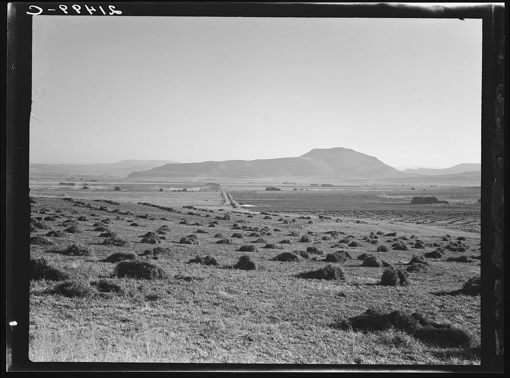 Sunset Valley, Malheur County, Oregon. Hay and clover, pasture land, corn land, grain land. Some of this valley has been…