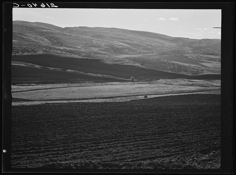 Newly-plowed fields on land belonging to member of Ola self-help sawmill co-op. Gem County, Idaho. General caption 48.…