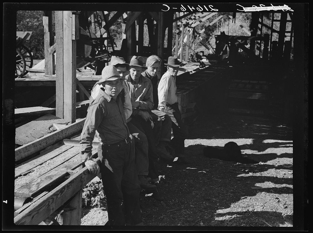 [Untitled photo, possibly related to: Five Idaho farmers, members of Ola self-help sawmill co-op, in the woods standing…