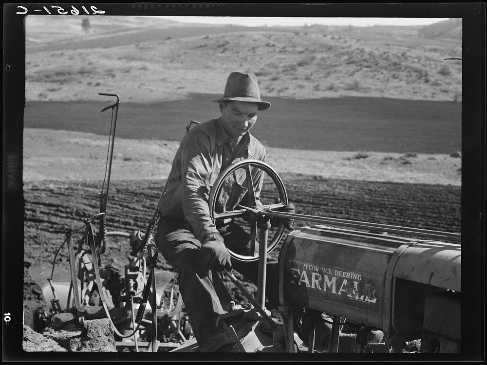 [Untitled photo, possibly related to: Young Idaho farmer plowing in the fall of the year while the other members of the Ola…