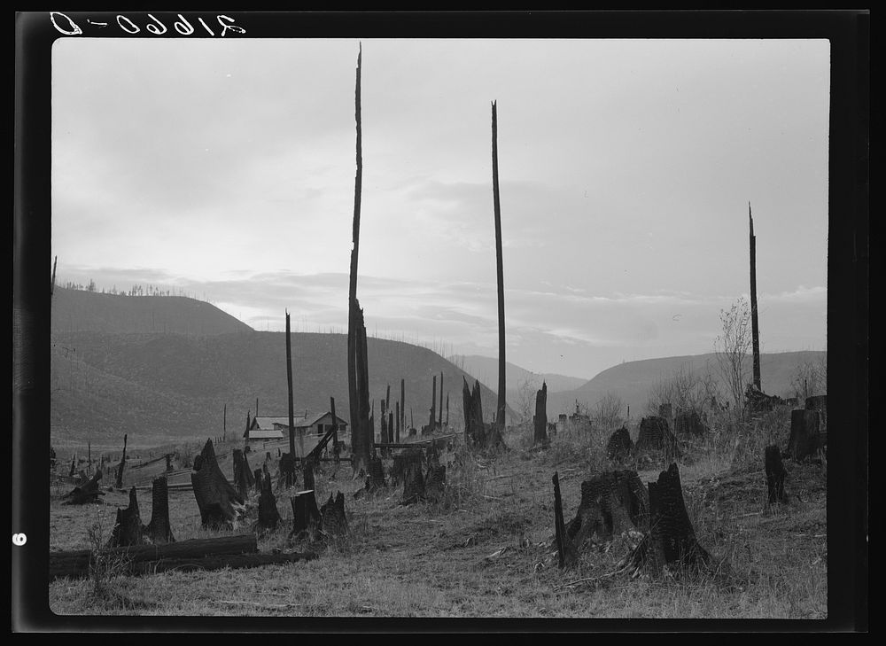 [Untitled photo, possibly related to: View of the Halley farm. Priest River Peninsula. Bonner County, Idaho. See caption…