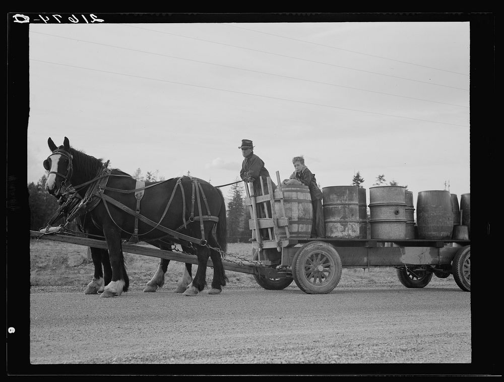 [Untitled photo, possibly related to: Farmer and his boy hauling water for drinking and domestic purposes to the stump farm.…