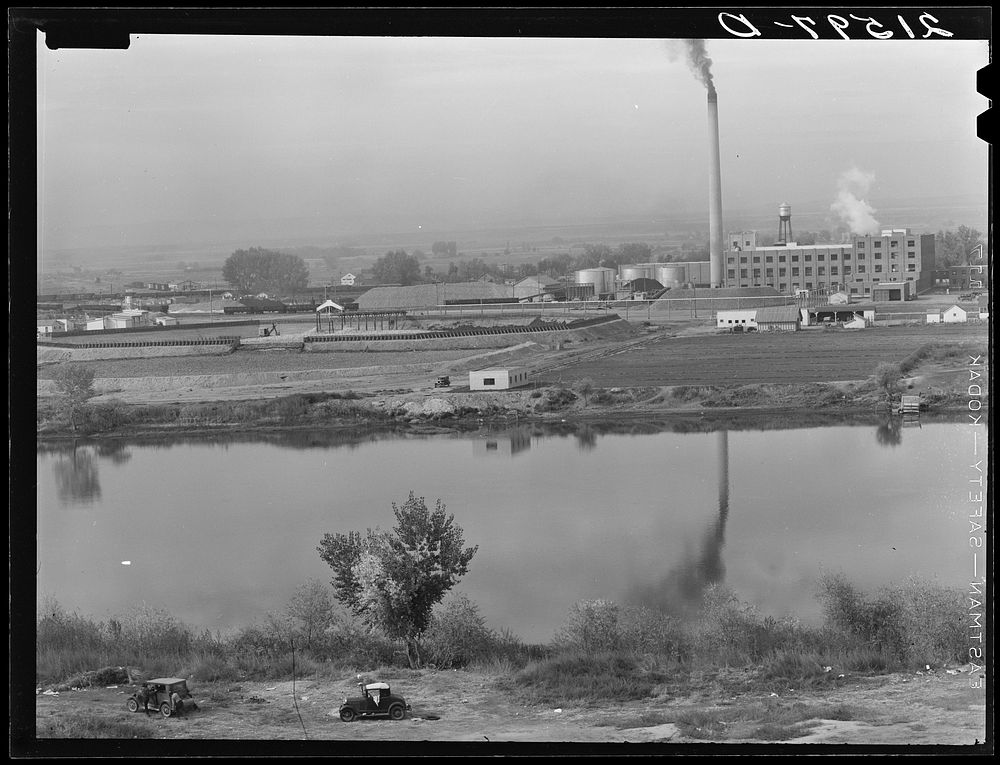 [Untitled photo, possibly related to: Sugar beet factory along Snake River. Shows beet dump, beet pile. Nyssa, Malheur…