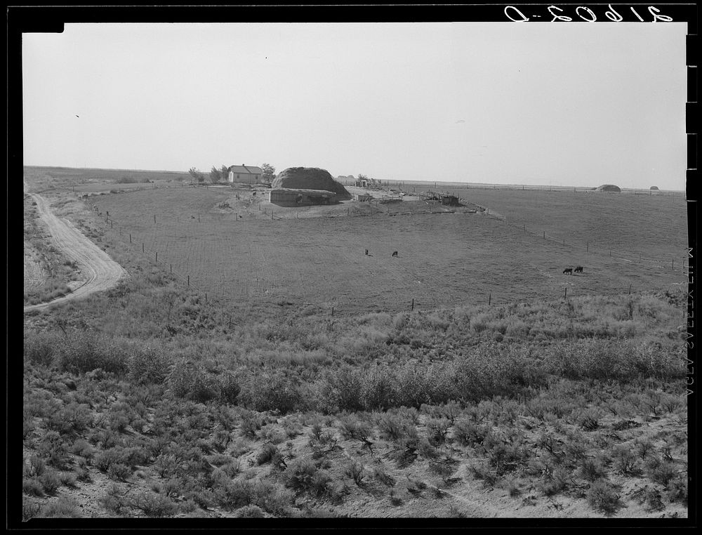 [Untitled photo, possibly related to: Landscape showing home of FSA (Farm Security Administration) borrower: sage bush…