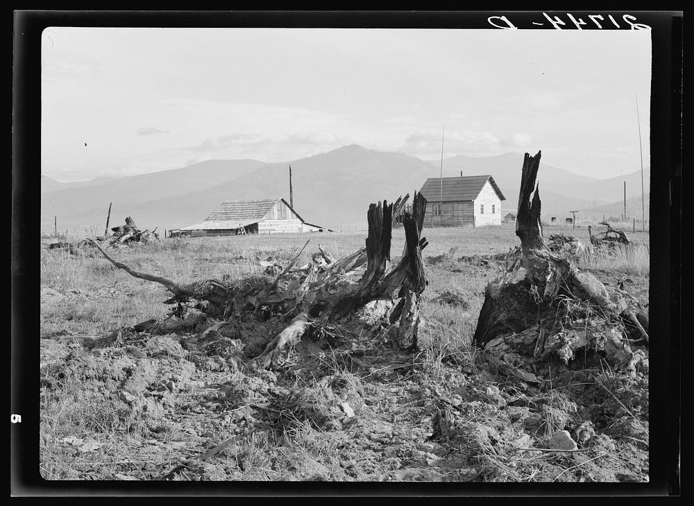 [Untitled photo, possibly related to: Evanson new home, looking across land which has recently been cleared by . Priest…