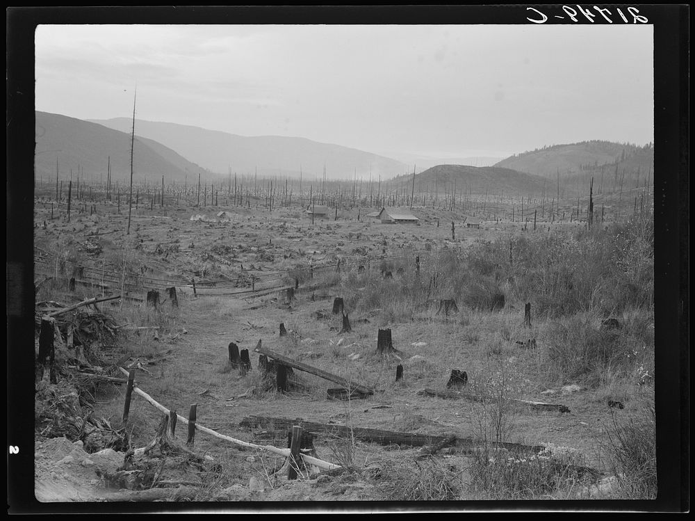 Another stump farm, fenced, showing general characteristics of the valley. Bonner County, Idaho. See general caption 49.…
