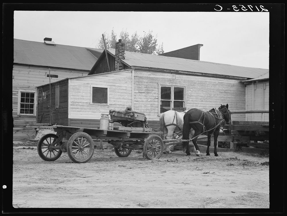 Stump farmer's wagon in town on Saturday morning. Bonners Ferry, Idaho. See general caption 49. Sourced from the Library of…