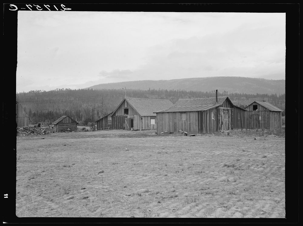 Partly-developed stump ranch seen across cleared grain field. Boundary County, Idaho. See general caption 52. Sourced from…